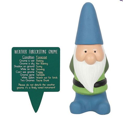 Sure to bring smiles to any visitors to your garden, this cheery gnome offers a humourous take on weather forecasts with insights like ' Gnome gone = tornado, White splats = watch out for birds, Two gnomes = you're drunk.' A charming accessory for any garden. Weather Forecasting, Rain Shadow, Gnome Gift, Outdoor Gifts, Charming Garden, Presents For Him, Gnome Garden, Coloring Stickers, Garden Ornaments