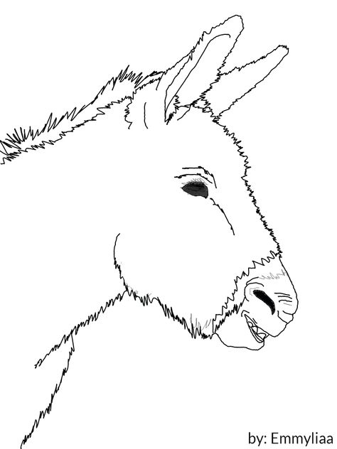 Donkey head lineart by Emmyliaa.deviantart.com on @deviantART Donkey Line Drawing, Donkey Head Drawing, Clipart Drawings, Donkey Head, Donkey Drawing, Lineart Sketch, Christmas Donkey, Head Drawing, Drawing Heads