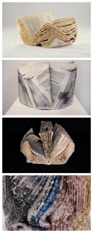 Make Your Own Crystallized Book SculpturesThese Crystallized... Diy Crystalized Book, How To Crystallize A Book, How To Crystallize Books, Borax Book, Borax Crystals Diy Halloween, Crystal Book Diy, Borax Crystal Book, Crystallized Books, Crystalized Book