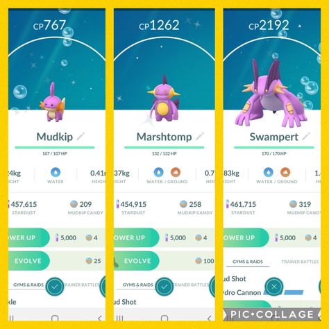 Community Day Classic: Memories of Mudkip #pokemon_go #seasonofalola #communitydayclassic #shiny Shiny Mudkip, My Pokemon, Pokemon Go, Pokemon