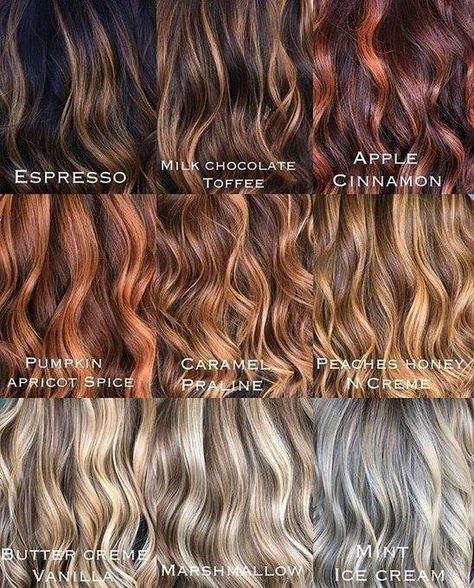 Hair Color Names, Which Hair Colour, Rambut Brunette, Hair Color Chart, Types Of Hair, Smink Inspiration, Hair Color Shades, Hair Shades, Holiday Hairstyles