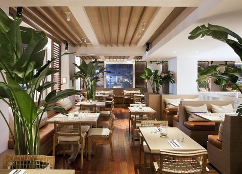 Eating Restaurant, French Buildings, Queen Anne House, Pub Interior, Pub Design, Tommy Bahama Furniture, Restaurant Management, Modern Restaurant, Retail Store Design