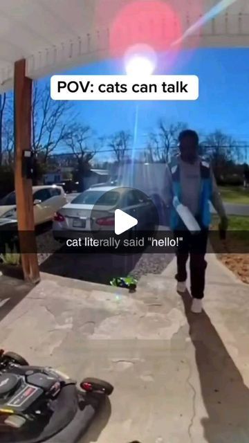 Say Leo Leo on Instagram: "Funny cats 😂 #cats #funnycats #animals #pets #cute #funnyanimals #funnyvideos" Funny Animals Talking, Talking Cats, Cat Talk, Pets Cute, Pet Kitten, Can't Stop Laughing, Instagram Funny, Funny Cat Videos, Cat Gif