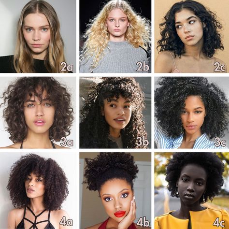 Hair Texture Chart, Hair Type Chart, 3a Hair, Different Curls, Curly Hair Types, Hair Patterns, Type 4 Hair, Types Of Curls, 짧은 머리