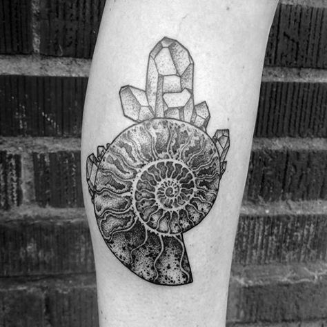 40 Ammonite Tattoo Designs For Men - Fossil Ink Ideas Ammonite Tattoo Fossil, Archeology Tattoo, Geology Tattoo, Ammonite Tattoo, Fossil Tattoo, Nature Sleeve, Tattoos Symbols, Bookish Tattoos, Wrist Tattoos For Guys