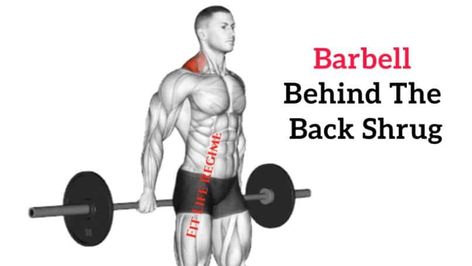 Are you interested in taking your trap workout to the next level? The shrugs behind the back barbell might be the exercise you've been missing. While traditional barbell shrugs are great for targeting the trapezius muscles, behind the back barbell shrugs offer a fresh twist by engaging different muscle groups and delivering remarkable benefits. The behind the back barbell shoulder shrug exercise is one of the most #barbellshrug #BehindTheBackBarbellShrugs #TrapExercises Shrug Exercise, Rows With Barbell, Barbell Shrugs, Barbell Bent Over Row, Shrugs Workout, Barbell Back Row, Trap Workout, Different Muscle Groups, Barbell Lifts