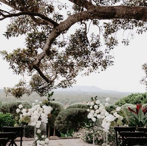 Fig Tree Restaurant & Rooms on Instagram: "AN ELEGANT AFFAIR //  A Fig Tree wedding day is something truly breathtaking to behold.  Natalie & Andrews Autumn nuptials 🕊️ The epitome of elegance & sophistication.  C O L L A B O R A T O R S //  Venue @figtreerestaurant Planning & Coordination @byronbayweddings Style & Hire @theweddingshed Florist @wildernessflowers_ Stationery @Signedbyshaun Celebrant @marrymedean Photographer @ivyroadphotography Videographer @samfregonese Musician & DJ @chrishutchinsonweddings Cake @milliesofnewrybar Transport @byronbaydoubledeckers | @cookiestours   In celebration of the Wedding Event of the YEAR (with the @Byronbayweddingfair now 2 weeks away), the Fig Tree will be announcing a never before seen limited wedding package - The Estate Package - in the days t Fig Tree Restaurant, Fig Tree Restaurant Wedding, The Fig Tree, Tree Restaurant, Byron Bay Weddings, Restaurant Wedding, Wedding Styling, Watch This Space, Tree Wedding