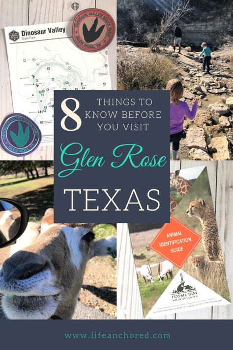 Glen Rose Texas, Dinosaur Valley State Park, Explore Texas, Texas State Parks, Glen Rose, Travel Texas, Family Vacation Planning, Babymoon Destinations, Texas Dallas