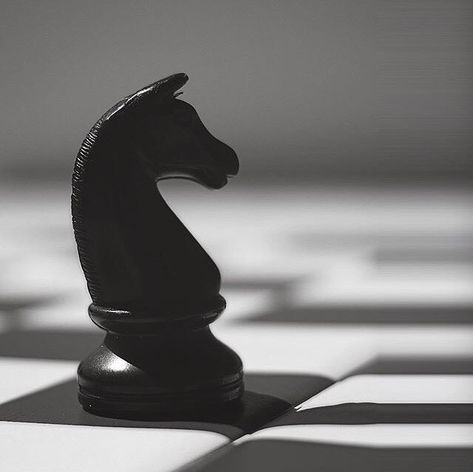 Chess Knight Aesthetic, Chess Knight Wallpaper, Black Chess Aesthetic, Knight Chess Piece Aesthetic, Rina Aesthetic, Chess Aesthetic, Chess Horse, Knight Chess Piece, Chess Knight