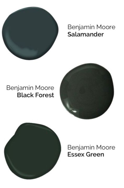 Great trim paint color...Black Forest by Benjamin Moore! Dark Green Black Paint Color, Black Forest Benjamin Moore, Olive Black Paint, Black Green Paint Colors, Black Forest Green Benjamin Moore, Essex Green Benjamin Moore, Benjamin Moore Black Forest Green, Creepy Library, Black Green Paint