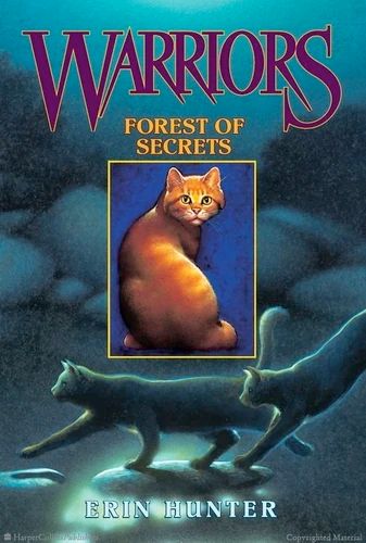 Warriors Erin Hunter, Secret Warriors, Warrior Cats Series, Warrior Cats Books, Warrior 3, Secret Forest, The Secret Book, Cat Books, Cats Art