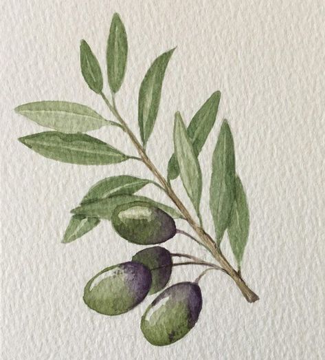 Botanic Painting, Watercolor Herbs, Watercolor Paintings For Beginners, Watercolor Fruit, Watercolour Inspiration, Watercolor Plants, Soyut Sanat Tabloları, בר מצווה, Watercolor Art Lessons