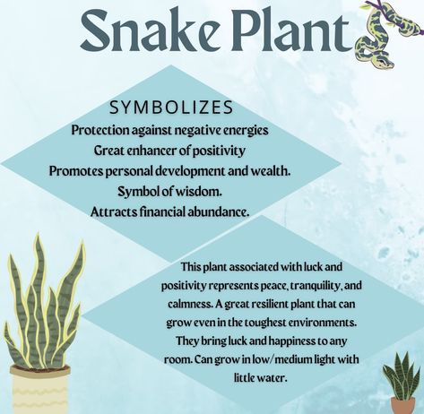 Plant Energy Spiritual, Snake Plant Meaning, Plants And Spirituality, Plants For Spiritual Protection, Snake Plant Spiritual Meaning, Benefits Of Snake Plant, Snake Plant Benefits, Protection Plants, Plant Symbolism