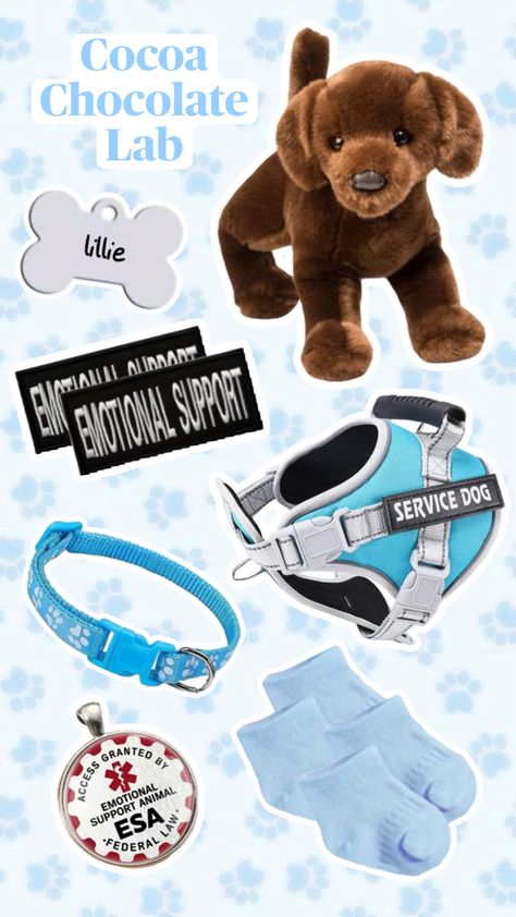 Dog Sewing Patterns, Service Dogs Gear, Emotional Support Dog, Cocoa Chocolate, Emotional Support Animal, Moodboard Aesthetic, Dog Stuffed Animal, Cute Posts, Silly Dogs