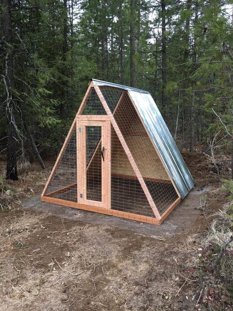 Building Chicken Coop, Chicken House Plans, Easy Diy Chicken Coop, A Frame Chicken Coop, Chicken Coop Blueprints, Backyard Homestead, Cheap Chicken Coops, Easy Chicken Coop, Portable Chicken Coop