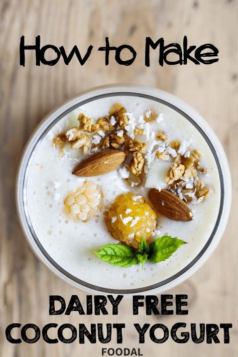 Milk Syrup, Kitchen Help, Dairy Free Yogurt, Coconut Yogurt, Ninja Foodi, Instant Pot Pressure Cooker, Going Vegan, Pressure Cooker, Coconut Milk