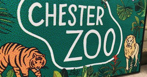 Zoo Entrance, Zoo Signage, Chester Zoo, Hedgehog House, Bug Hotel, Kids News, Animal Masks, How Big Is Baby, The Zoo