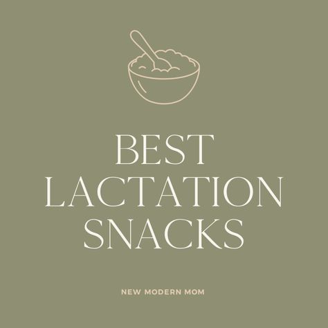 Quick and Nutritious Lactation Snacks for Nursing Moms Healthy Lactation Recipes, Snacks For Nursing Moms, Green Smoothie Protein, Lactation Snacks, Breast Milk Production, Boost Milk Supply, Breastfeeding Mom, List Of Foods, Quick Healthy Snacks