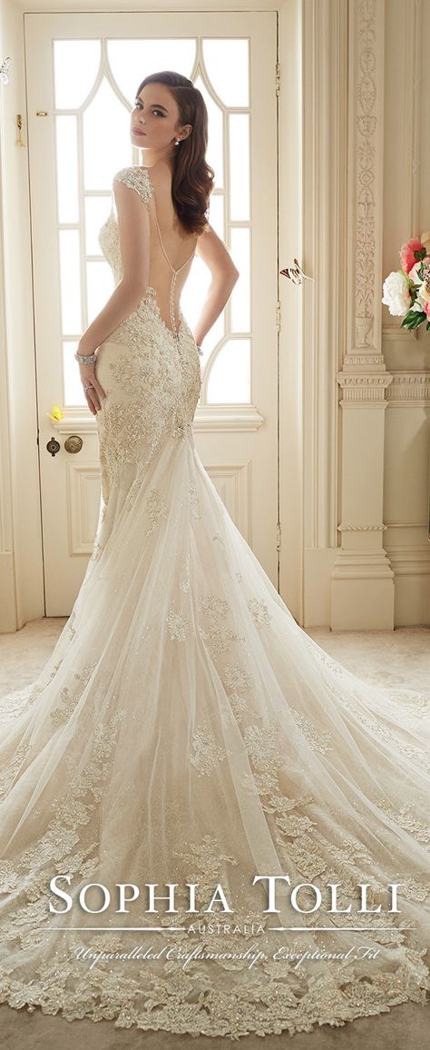 Lace Back Wedding Dress, Sophia Tolli Wedding Dresses, Dresses Bride, Sophia Tolli, 2016 Wedding Dresses, Sophisticated Bride, Entertainment Stand, 사진 촬영 포즈, Backless Wedding