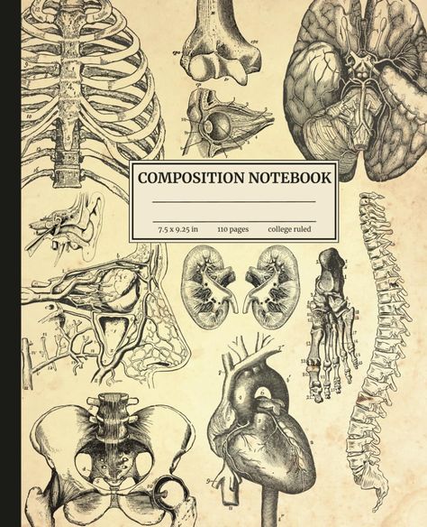 Composition Notebook: Vintage Human Anatomy | Unique Medical Illustrations | Human Body | Medical Themed 110 College Ruled Pages | Medical School and Pre-Med | Great Gift for Students | Note Taking: Publishing, Inky Pup: Amazon.com: Books Anatomy Cover Page Design, Vintage Composition Notebook, Anatomy And Physiology Cover Page, Anatomy Notebook Cover, Med Student Aesthetic, Anatomy Notebook, Notebook Cover Digital, Medical Notebook, Good Notes Templates