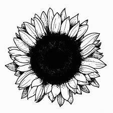 Duke Tattoo, Stippling Tattoo, Tattoos Illustration, Black Flowers Tattoo, Tatuaje Cover Up, Sunflower Tattoo Sleeve, Sunflower Tattoo Shoulder, Sunflower Tattoo Small, Pola Tato