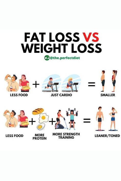 Fat Loss VS weight Loss #weightloss #weightlossjourney #lossweight #weightlossbeforeandafter #lossingweight #weightlossplanweightloss Fat Vs Muscle, Toning Training, Muscle Gain Diet, Reduce Body Fat, Weight Workout Plan, Gym Workout Tips, Lose Body Fat, Stubborn Belly Fat, Health Facts