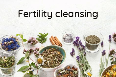 8 min read Fertility cleansing is a detoxifying method that is believed to increase the chances of fertility in both men and women. The world we live in today is polluted in every way. Constant exposure to chemicals through food, water and air is ending up being a health hazard. One of the ways in which this health […] The post Fertility Cleansing – What is it, How to Do it and Top Benefits appeared first on Being The Parent. Clove Water Benefits For Fertility, Fertility Cleanse, Co Q 10 Benefits Fertility, Pregnancy Spells Fertility, Pregnancy Prayer Fertility, Fertility Supplements, Crystals For Fertility And Pregnancy, Fertility Doctor, Fertility Boost