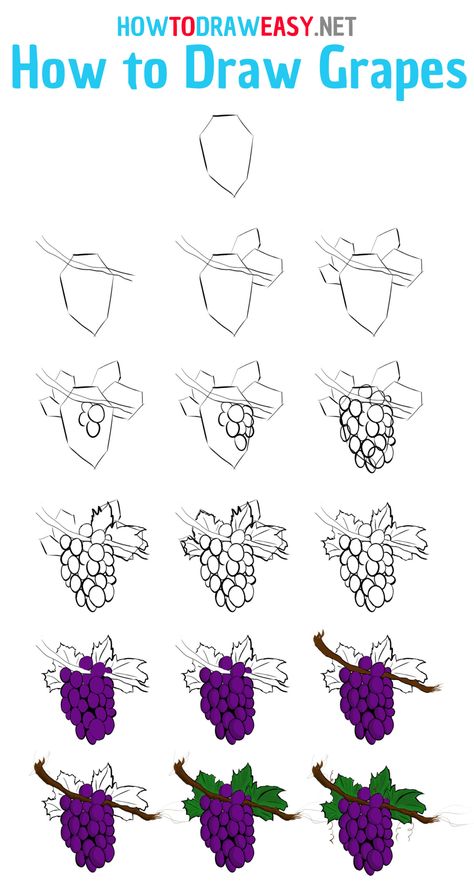 Grape Vine Drawing Simple, How To Draw Grape Vines, How To Draw Grapes Step By Step, Grape Sketch, How To Draw Grapes, Grape Drawing Simple, Grapes Sketch, Grape Drawing, Vine Drawing