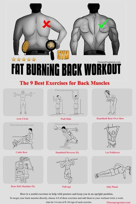 Back Workout For Men Gym, Back Exercises For Men, Gym Tricks, Back Workout For Men, Suspension Workout, Morning Sport, Gym Back Workout, Exercises For Back, Good Back Workouts