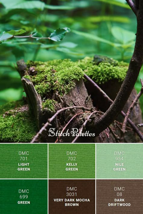 Floss color inspiration for cross stitch and embroidery projects. Thread colors used: DMC 954: Nile Green / DMC 702: Kelly Green / DMC 701: Light Green / DMC 699: Green / DMC 3031: Very Dark Mocha Brown / DMC 08: Dark Driftwood. Palette ID: SPA0201 Dark Forest Colour Palette, Kelly Green Palette, Dmc Green Palette, Kelly Green Color Palette, Green And Brown Color Palette, Stitch Palette, Stitch Palettes, Green Color Combinations, Forest Color