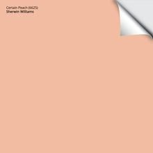 Sherwin Williams Certain Peach, Light Salmon Wall Color, Peach Colored House Exterior, Yellow Paint Colors For Bedroom, Peach Wall Paint, Office Guest Bedroom, Peach Paint, Yellow Paint Colors, Holly House