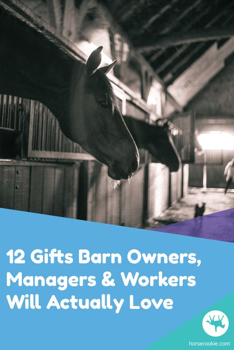 A thoughtful gift can be a great way to show your appreciation for the people who support you and your horse daily. In this article, we walk you through the top 12 gifts for barn staff!   #horsegifts #equine gifts #equestrian Gifts For Horse Trainer, Horse Trainer Gifts, Male Horse, Horse Lessons, Horse Rescue, Horse Trainer, Gotcha Day, Equestrian Gifts, Equestrian Lifestyle