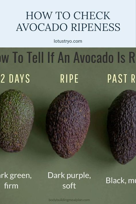 Wondering how to tell if your avocado is ripe? The secret lies in the gentle squeeze of the fruit! Press it lightly with your fingertips; if it yields slightly, your avocado is ready to enjoy. Don't miss out on ripe, delicious avocado for your salads, sandwiches, or smoothies. Knowing the right signs of ripeness can transform your culinary creations. Learn more about the characteristics of perfectly ripe avocados and ensure you make the most of this creamy superfood in your kitchen. Avocado Ripeness, Unripe Avocado, Fruit Press, Fresh Avocado, Mashed Avocado, Guacamole Recipe, Ripe Avocado, Delicious Fruit, Under Pressure