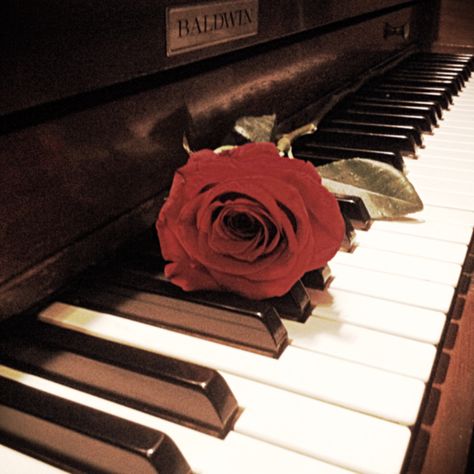 Red Piano, Piano Aesthetic, Iphone Ideas, Color Rojo, Pastel Art, Red Aesthetic, Wild Hearts, So Cool, The Rose