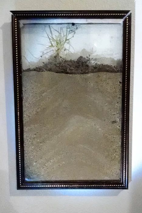 Types Of Ants, Ant Farm, Farm Wall Art, Farm Pictures, Ant Farms, Fire Ants, Hand Pictures, Farm Design, Metal Hangers