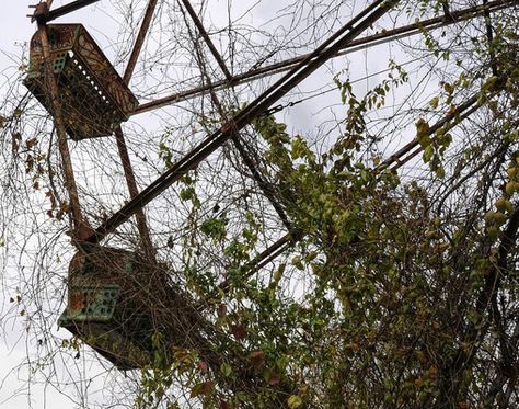 Lake Shawnee Amusement Park | Atlas Obscura Lake Shawnee Amusement Park, Amusment Parks, Detroit Ruins, Abandoned Theme Parks, Abandoned Amusement Park, Spooky Things, Abandoned Things, Abandoned Amusement Parks, Most Haunted Places