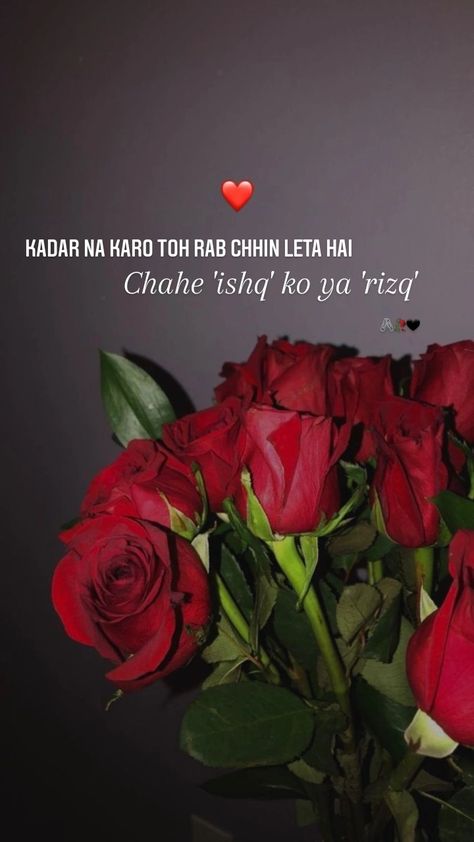 Kadar Quotes, Rose Shayari, Ammi Jaan, Flower Mehndi, Rosé Portrait, Best Friend Thoughts, Movie Love Quotes, Instagram Picture Quotes, Snap Streak Ideas Easy