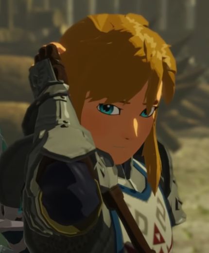 Link Botw Side Profile, Link Pfp Botw, Link Pfp Zelda, Link Zelda Breath Of The Wild, Botw Link Pfp, Link Zelda Pfp, Link Screenshots, Botw Link Icon, Botw Icons