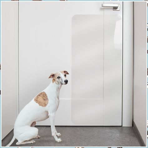 PROTECTO Door Protector from Dog Scratching - 35.5 x 15.5 Anti-Scratch Guard for Furniture Window Wall - Clear Claw Shield & Door Protector From Dog, Upscale Decor, Cat Couch, Door Protection, Door Screen, Couch Protector, Door Protector, Door Guard, Sticky Pads