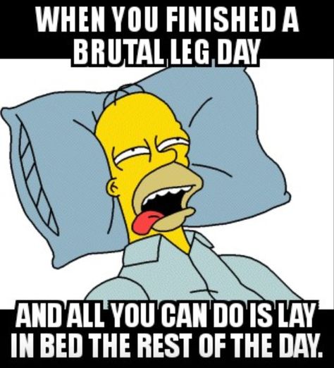 Leg Day Squat Memes, Exercise Humor, Leg Day Humor, Fitness Jokes, Bodybuilding Memes, Workout Memes Funny, Bodybuilding Humor, Gym Humour, Gym Memes Funny