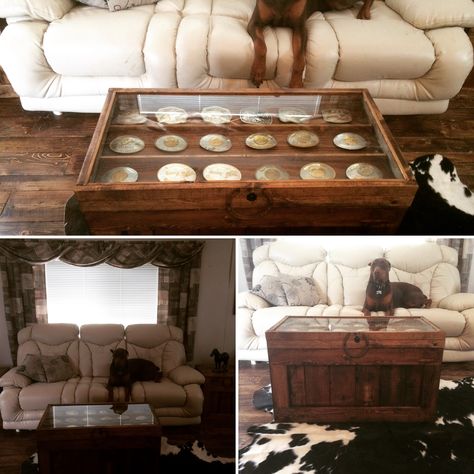 Coffee table display case