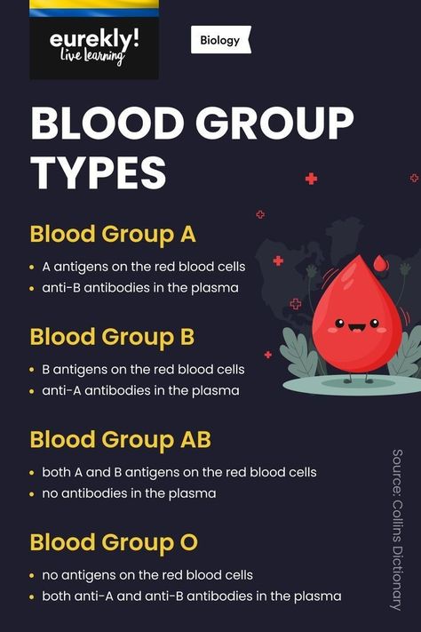 Learn Biology, Blood Types, Blood Group, Medicine Notes, Study Biology, Nursing Student Tips, Biology Facts, Medical Student Study, Blood Groups