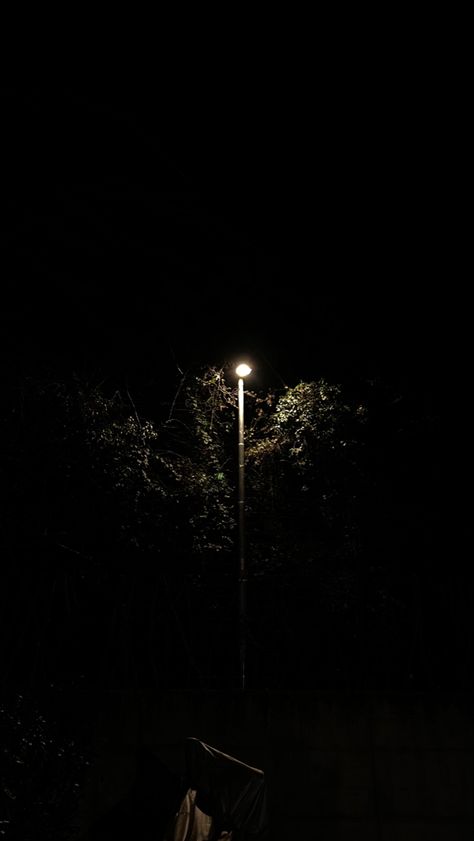 Photography Dark Tree Aesthetic, Street Lamp At Night, Car Night, Tree Aesthetic, Street Pics, Dark Tree, Dark Street, Forest Scenery, Night Pictures