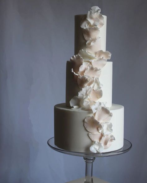 Delicate texture, chunky stripes, sharp clean edges. I was inspired by the work of ceramic artist @mari.anastasova, but then kind of ran with the textures and the delicate ruffles and created this. It makes me think of underwater coral gently wafting in the current. Also oyster mushrooms (although slightly less poetic!) Wedding cakes can be whatever you want them to be. As individual as you are. #weddingcakedecoration #bespokeweddingcake Poetic Wedding, Oyster Mushrooms, Wedding Cake Decorations, Ceramic Artists, Wedding Cakes, Ruffles, Stuffed Mushrooms, Coral, Stripes