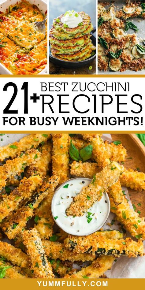 Unlock the culinary potential of zucchini with this Zucchini Recipes collection, which turns this versatile vegetable into a star ingredient. These recipes showcase the endless possibilities, making every dish a Zucchini Puree Recipes, Baby Zucchini Recipes, Savory Fritters, Yellow Zucchini Recipes, Shredded Zucchini Recipes, Italian Squash, Macaroons Easy, Yummy Zucchini Recipes, Squash And Zucchini Recipes