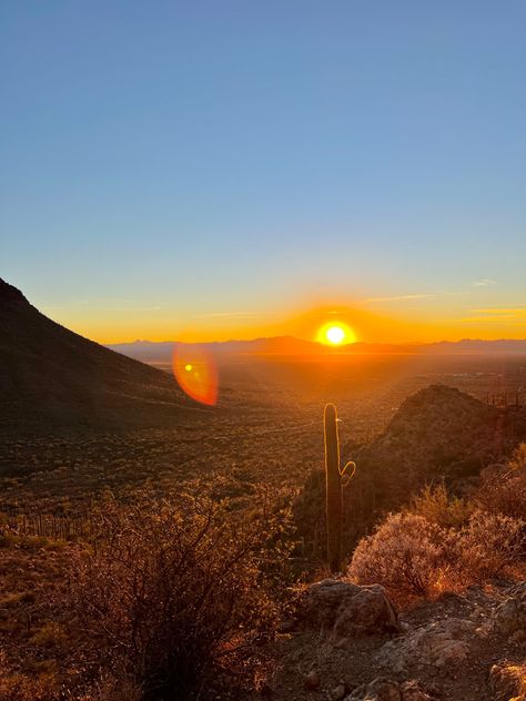 Sunset 
Autozon a 
Photography 
Cactus 
Nature 
Wallpaper Arizona Wallpaper, Dessert Sunset, Arizona Painting, Hothouse Flower, Manifest 2024, Arizona Tucson, Arizona Aesthetic, Cactus Wallpaper, Arizona Trip