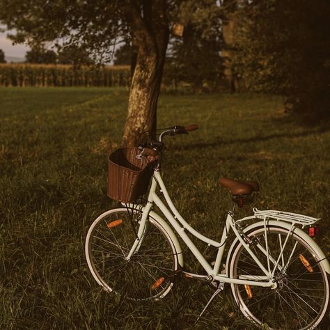 ˗ˏˋ𝚂𝚎𝚚𝚞𝚘𝚒𝚊´ˎ˗ — To live happily and to live according to nature is... Bicycle Aesthetic, Aesthetic Bike, Bicycle Pictures, Bike Aesthetic, Pretty Bike, Vintage Bike, + Core + Aesthetic, Vintage Bicycles, Spring Vibes