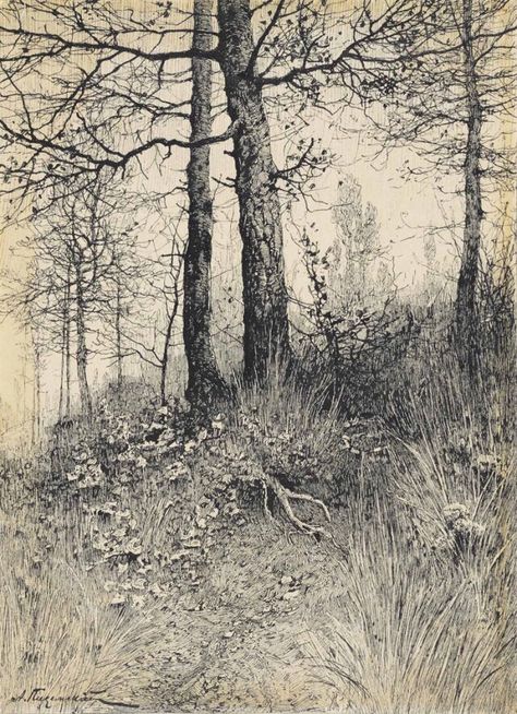 Aleksei Pisemsky (Russian, 1859-1913), The forest. Ink on paper, Robert Hadley, Forest Drawing, Tree Drawings Pencil, Trees Art, Tree Sketches, Landscape Sketch, Nature Drawing, Landscape Drawings, Tree Drawing