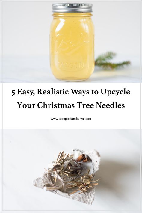 5 Easy, Realistic Ways to Upcycle Your Christmas Tree Needles Charleston Living, Recycled Christmas Tree, Reuse Crafts, Waste Reduction, Eco Friendly Christmas, Real Christmas Tree, Life Group, Christmas Tree Crafts, Xmas Ideas