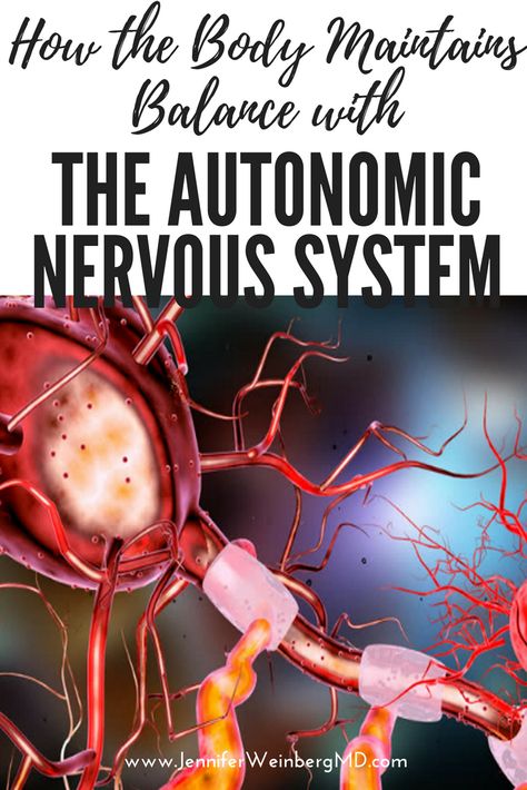 Automatic Nervous System, Dysautonomia Symptoms, Autonomic Dysfunction, Fibermyalgia Symptoms, Autonomic Nervous System Dysfunction, Nerve Anatomy, Physician Assistant School, Lifestyle Medicine, Enteric Nervous System